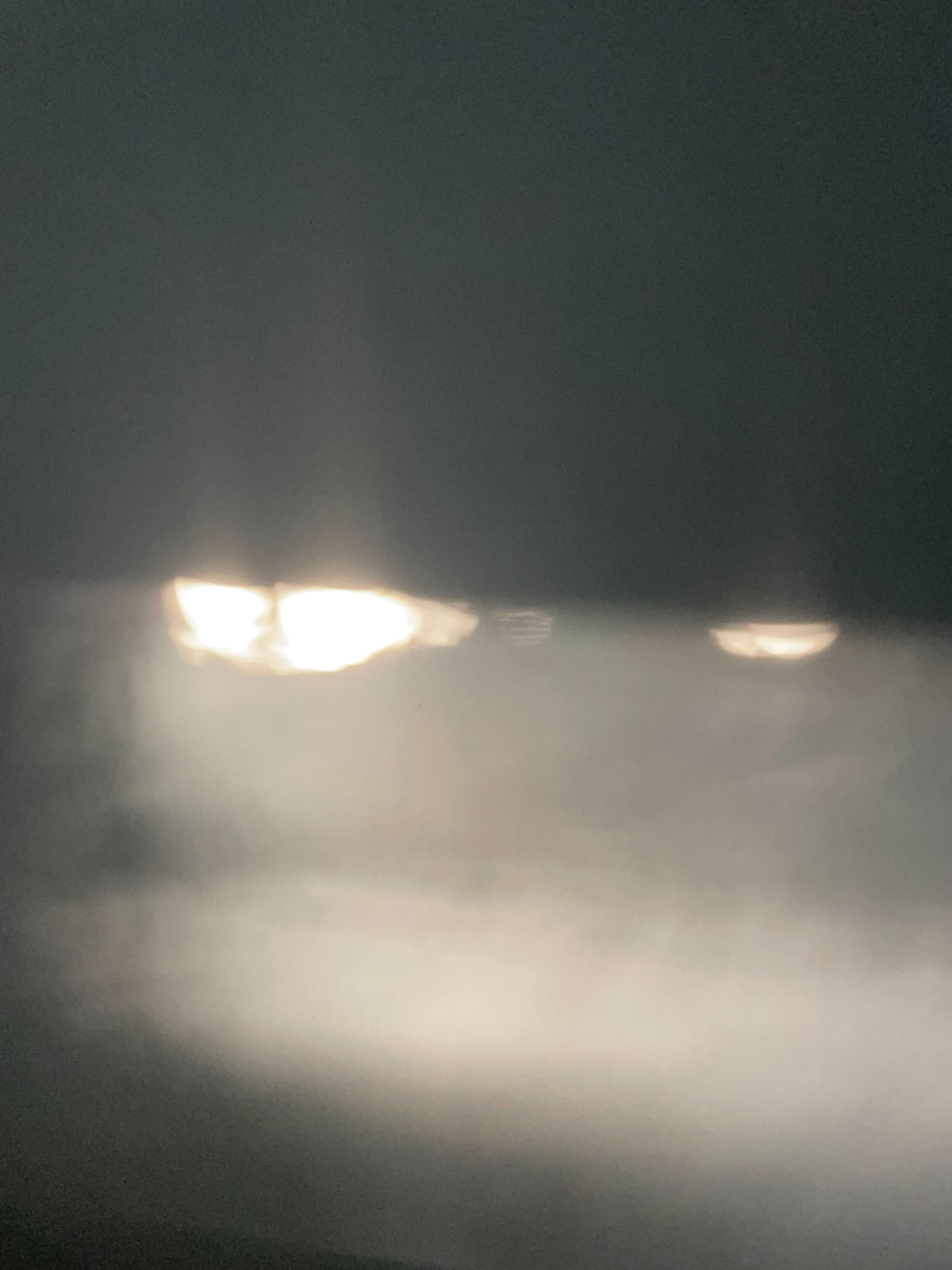 The Art of Reconnecting with Your Senses